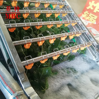 Hoge Kwaliteit 500 Kg/u Automatische Blad Groente Bubbel Wasmachine Fruit Wassen Drogen Verwerking Lijn Luchtstroom Fruit Ontwater Machine