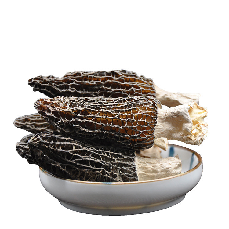 Large 5-8 cm Size Natural Dried Morel Mushroom & Morchella Esculenta price