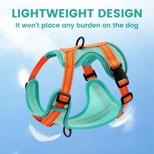 Correa de Plástico para Perro con Arnés Integrado, Retráctil Automática, Antiexplosión, Ecológica, con Estampado, para Razas Pequeñas - Product Image 3