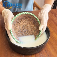 Scellant pour artisanat en plâtre Xinjuda, Scellant pour plâtre haute brillance, Revêtement facile à essuyer pour les créations et statues en plâtre DIY