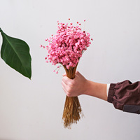 Groothandelsprijs Hoge Kwaliteit 12cm Gedroogde Chasmanthium Kunstmatige Ge conserveerde Mini Sterbloemen 12cm voor Valentijnsdag Kerstmis