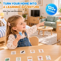 Jouets interactifs DB03 en 3 couleurs, cartes cognitives pour enfants, apprentissage précoce, cartes flash parlantes