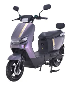 Yetişkin için güçlü elektrikli scooter 1000W kurşun-asit pil yetişkin elektrikli motosiklet elektrikli scooter
