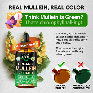 قطرات خلاصة المولين العضوية العشبية من العلامة التجارية الخاصة ، مكملات خلاصة أوراق المولين ، تطهير الرئة والشعب الهوائية للمدخ - Product Image 4