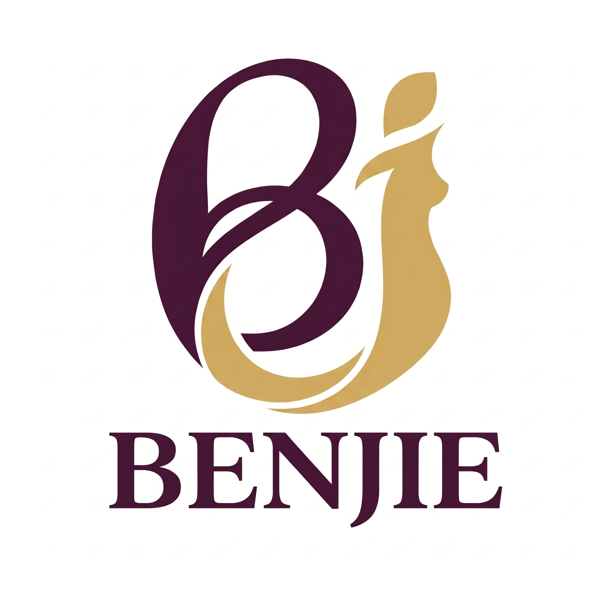 Zhenjiang Benjie Trading Co., Ltd. logo