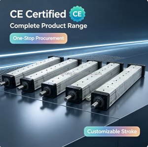 Actionneur linéaire électrique, corps en aluminium, cylindre à piston, course personnalisable, certifié CE - Product Image 1