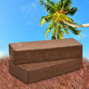 Mini juego de 3 herramientas para plantar en macetas, ideal para flores y suculentas, apto para uso doméstico. - Product Image 2