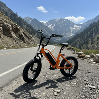 Vélo Électrique Enfant en Promotion – Moteur Bafang 48V 750W à Roue Arrière, Batterie Intégrée, Frein à Disque, Suspension Complète 15AH