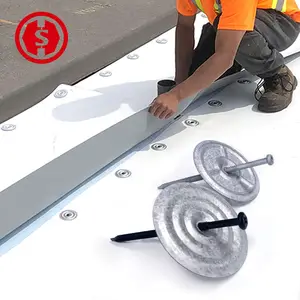 Nhà Máy Bán buôn tùy chỉnh mái Vít Ốc Vít Heavy Duty Fastener cách nhiệt tấm màng