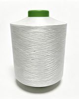 Fil 100% NYLON DTY pour l'encordage, la couture et le tissage – Vente chaude en Chine – Fabricant – Personnalisé – Vente en gros – Haute ténacité