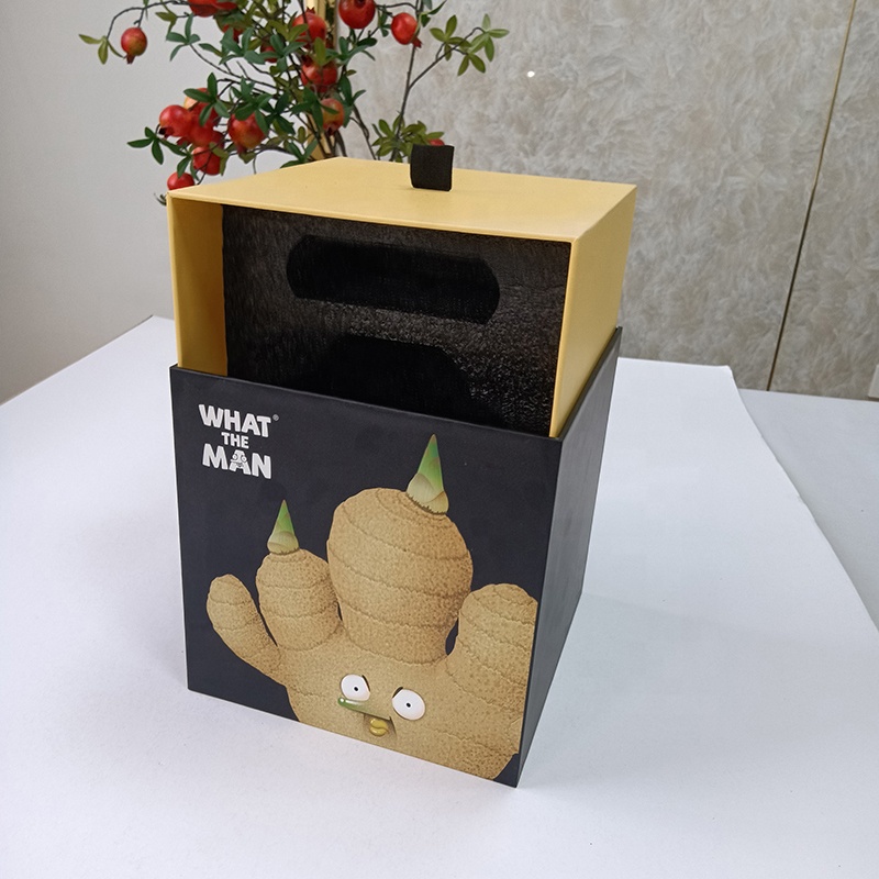 doll house packaging