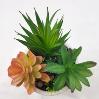 Plantes artificielles succulentes en faux plastique de haute qualité Real Touch Design vert à feuilles persistantes pour la décoration intérieure