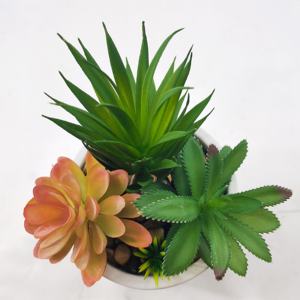 جودة عالية اصطناعية عصارية البلاستيك الاصطناعي تعمل باللمس الحقيقي النباتات قطعة واحدة دائمة الخضرة تصميم لديكور المنزل - Product Image 2