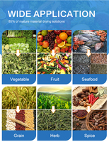 Machine de séchage industrielle pour poisson, gingembre, piment, viande, fruits, légumes, aliments, bœuf, mangue, sécheuse à poisson