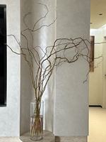 Branches naturelles bouclées de qualité export pour la décoration florale architecturale, les halls d'hôtel et les événements – Saule Dragon Salix fraîchement coupé