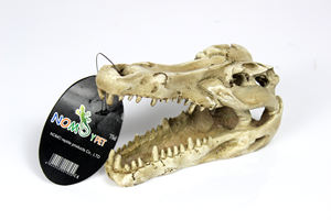 NOMOY PET Großhandel Harz Handwerk Terrarium Dekoration Landschaft künstliche Dinosaurier Schädel NS-60 - Product Image 6