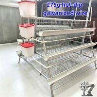Système de cages automatiques de type A pour poules pondeuses – Cages en maille de type A pour l'élevage avicole à longue durée de vie