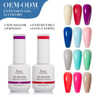 Miss Gooey 12 Couleurs Biab Gel Builder Soak Off Gel Vernis À Ongles Extensions Non Toxiques Gel Nail Art Marque Privée logo de Marque Personnalisée