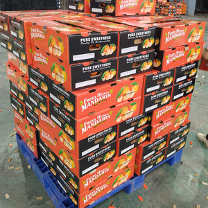 Buen grado Natural <span class=keywords><strong>de</strong></span> alta calidad dulce fresco cítricos mandarina ombligo naranja cítricos con <span class=keywords><strong>precio</strong></span> bajo - Product Image 5