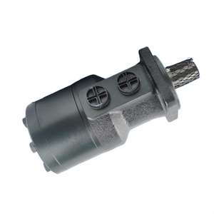 Motor Hidráulico de Bajo Precio y Alto Rendimiento, Alto Torque 200 Nm 3000 RPM BM1-250 BM1-125 BM1-160 BM1-200 Eaton Orbital Hansen 1 - Product Image 4