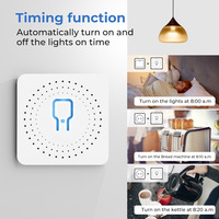 Télécommande intelligente pour la maison Prise en charge de la surveillance de l'énergie Alexa Google Mini Tuya WiFi Gradateur intelligent
