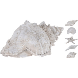 ASSORTIMENT DE COQUILLES EN RÉSINE 20X19CM - Product Image 1