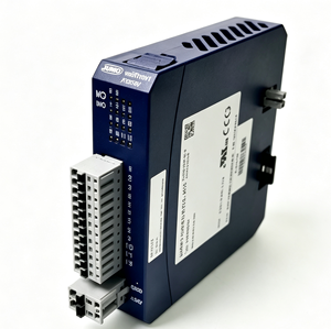 Module d'extension PLC numérique JUMO 705030/36/000 VariTRON à 12 canaux, 24 VCC, montage sur rail DIN - Product Image 1