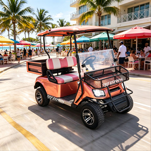 Voiturette de golf électrique ZOWN à économie d'énergie pour 2 passagers, longue durée de vie, idéale pour les trajets courts en milieu communautaire - Product Image 1