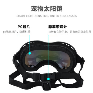 Lunettes de soleil pour chien, monture complète, verres photochromiques, sangle réglable, coupe-vent, randonnée, multifonctionnelles # 3021 - Product Image 1