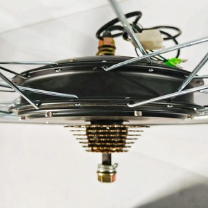 Kit de Motor para Bicicleta Eléctrica de Alta Velocidad, Kits de Conversión de Bicicleta de 24v de Calidad con Varios Tipos de Controladores, Motor de Buje Delantero y Trasero - Product Image 3