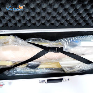 Modelo Anatómico de Punción Venosa Femoral y de Médula Ósea <span class=keywords><strong>Infantil</strong></span> para Escuelas de Formación en Ciencias Médicas, Material de PVC Ecológico - Product Image 4