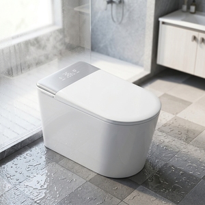 Inodoro Inteligente Automático de Cerámica con Asiento Calefactado, Montado en el Suelo, Ahorra Espacio, con Sifón en S, para Baño - Product Image 1