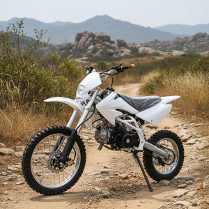 Motocicleta de Gasolina de 4 Tiempos de Alta Resistencia con Chasis Reforzado de Doble Viga, Escape Doble Recto, Amortiguadores Hidráulicos Delanteros y Traseros, Blanca, Sin Escobillas - Product Image 4