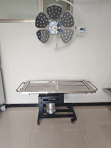 स्टेनलेस स्टील हाइड्रोलिक पशु चिकित्सा 304 सर्वोत्तम मूल्य - Product Image 5