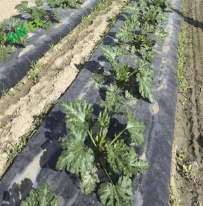 Malla Antihierbas Biodegradable de 1.5m x 500m <span class=keywords><strong>para</strong></span> Plantas y Vegetales, Cobertura del Suelo, Plástico de 20 Micras - Product Image 6