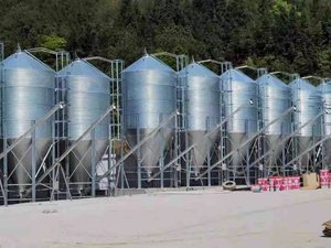Silos de Almacenamiento de Grano de Cebada, Maíz y Otros Granos para Alimentación Animal, de 5 a 50 Toneladas, para Granjas - Product Image 6