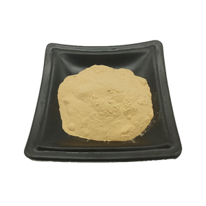 Factory Direct Supply Quillaia Saponaria Extract Quillaja Saponine <span class=keywords><strong>98%</strong></span>