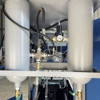 Máquina Sopladora de Botellas de Plástico PET Semiautomática de 2 Cavidades para Frascos de 100 mm