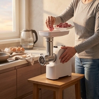 Hachoir à viande électrique à interrupteur unique 600 W max, moteur en cuivre et aluminium, 3 plaques, tube à saucisses, fonction inversée, pour usage domestique
