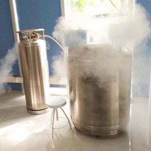 Stockage en phase vapeur LN2 Cylindre YDD-1800-635R 1800L Conteneur azote liquide Protéger avec établi - Product Image 4