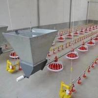 Meilleur prix ligne d'alimentation automatique pour poulets de chair de ferme avicole casserole d'alimentation et d'abreuvement pour poulets avec ventilateurs à flux axial