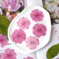 Fleurs de cerisier japonaises séchées de qualité supérieure, qualité alimentaire, pour la décoration de pâtisserie et les confettis de mariage, stock en vrac