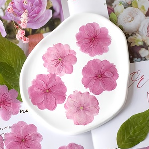 Fiori di Ciliegio <span class=keywords><strong>Sakura</strong></span> Giapponesi Essiccati Premium per Decorazione Alimentare e Coriandoli Matrimoniali, Disponibili in Stock all'Ingrosso - Product Image 2