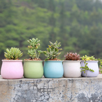 Pot Bunga Keramik Berbintik Grosir, Matte Pastel, Bulat, untuk Sukulen, Dekorasi Rumah, Logo Custom