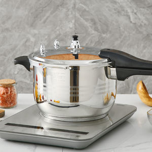 وعاء ضغط من الفولاذ المقاوم للصدأ من Zhenneng آمن وفعال للطاقة في المنزل سعة 5 لترات - Product Image 3