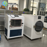 OEM Mini Groente- en Fruitvriesdroogmachine voor thuisgebruik