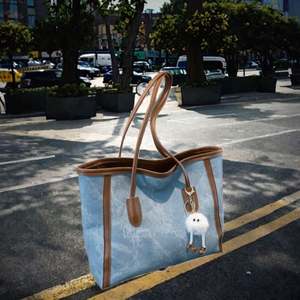 Bolsa de lona para el almuerzo, venta directa transfronteriza para mujer, Rakuten Upgrade Handbag - Product Image 2