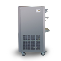 Nouvelle machine à glace italienne automatique pasteurisée, approuvée CE ETL