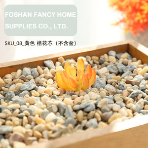 <span class=keywords><strong>Planta</strong></span> Artificial <span class=keywords><strong>de</strong></span> Espinas Mini-<span class=keywords><strong>Cristo</strong></span>, Accesorios para Bonsái, Flores <span class=keywords><strong>de</strong></span> Plástico, Suministros para Manualidades, Accesorios para Fotografía <span class=keywords><strong>de</strong></span> Bodas, Decoración del Hogar - Product Image 4