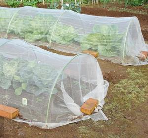 Bán Buôn Côn Trùng Bảo Vệ Net Nhà Kính Cho Rau Hoa Trái Cây Nhà Máy Bảo Vệ Lưới Bìa - Product Image 1